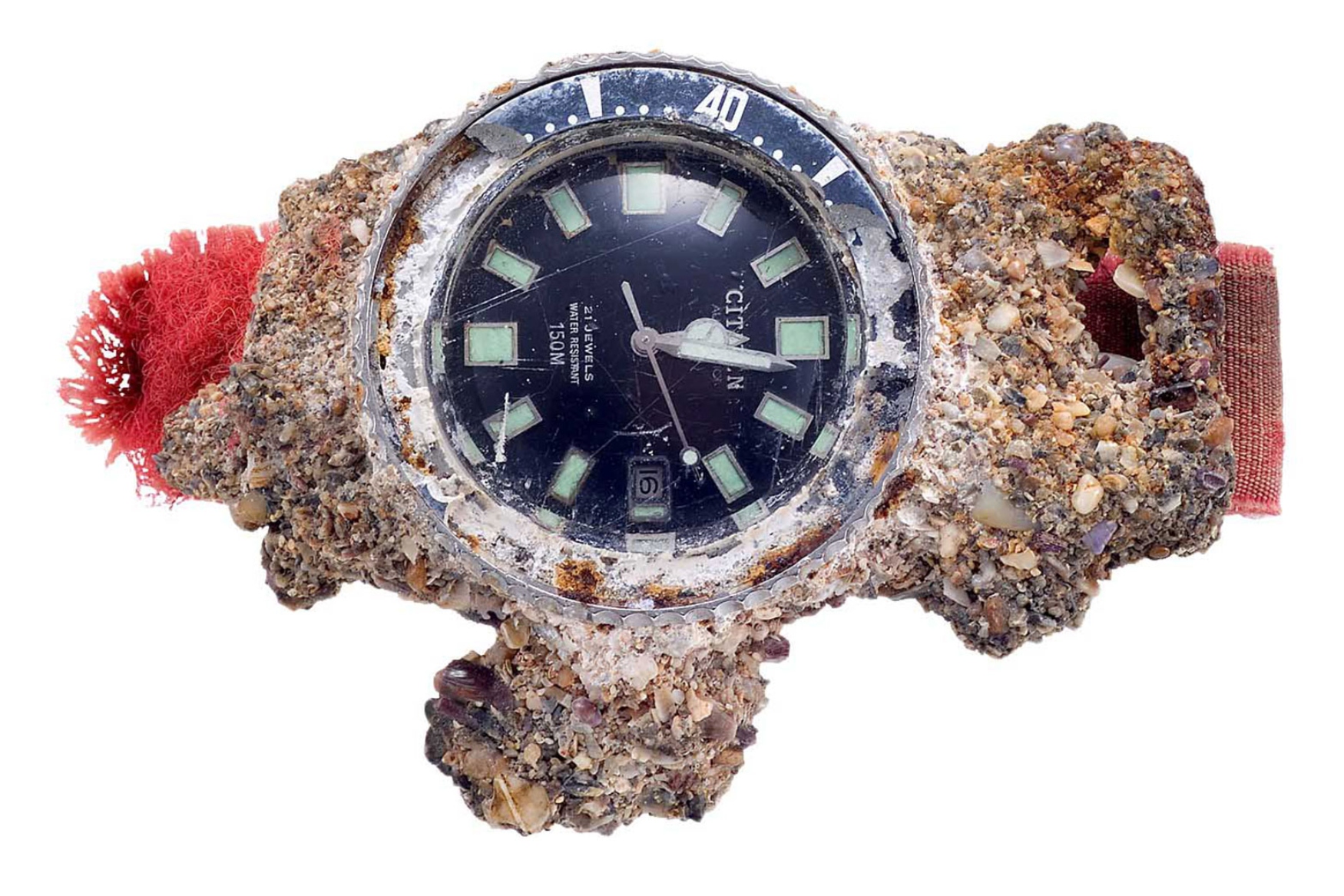 citizen 1977 challenge diver barnacles